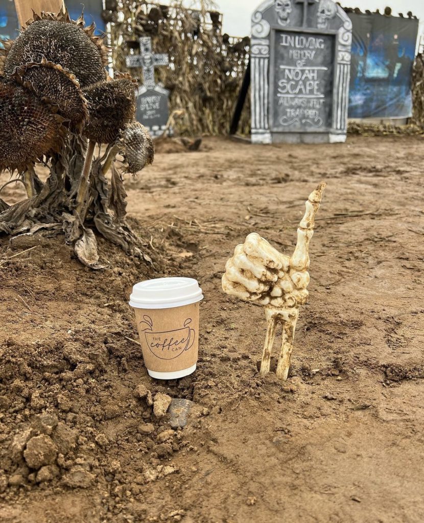 A takeaway cup placed amongst the mock 'graveyard' created by the pumpkin picking fields 