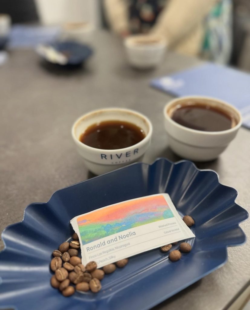 A close up of coffee cupping taking place, with whole coffee beans placed in front of the cups
